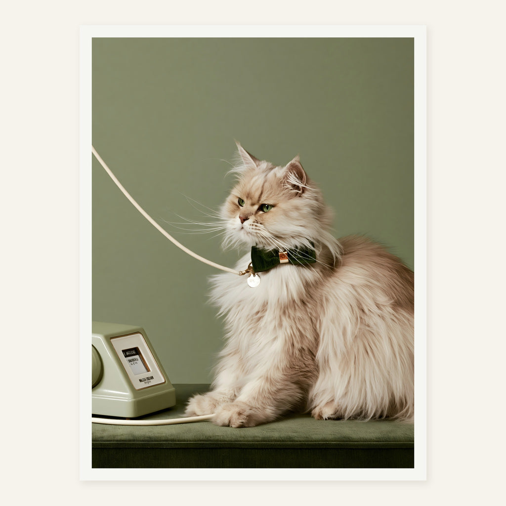 Waiting Signal — White frame