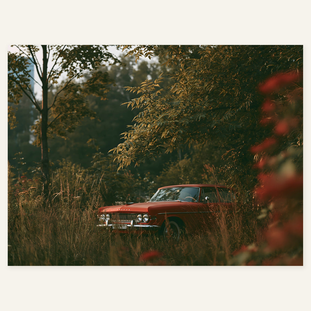 Rust in the Grass — art print by paintmoon