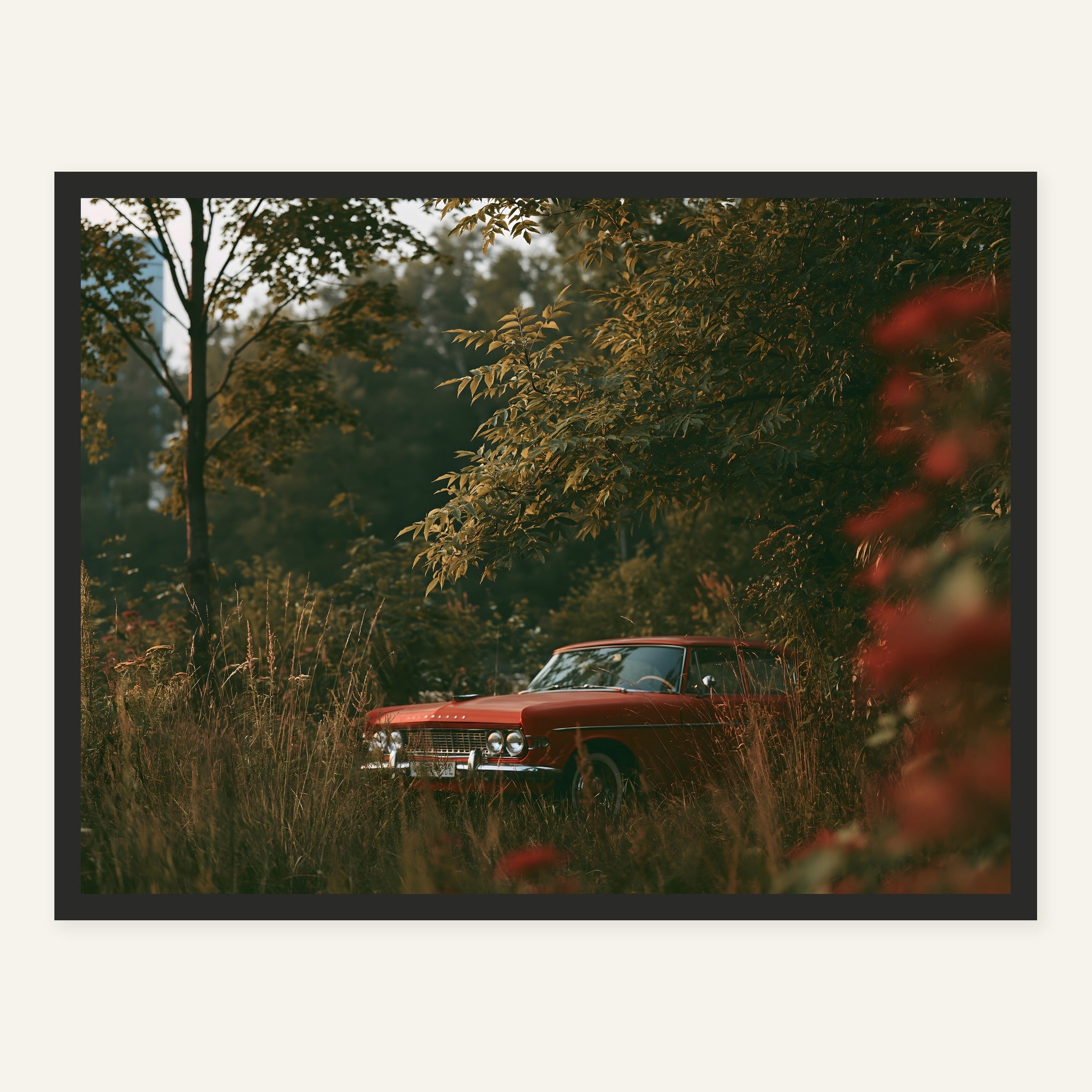 Rust in the Grass — Black frame