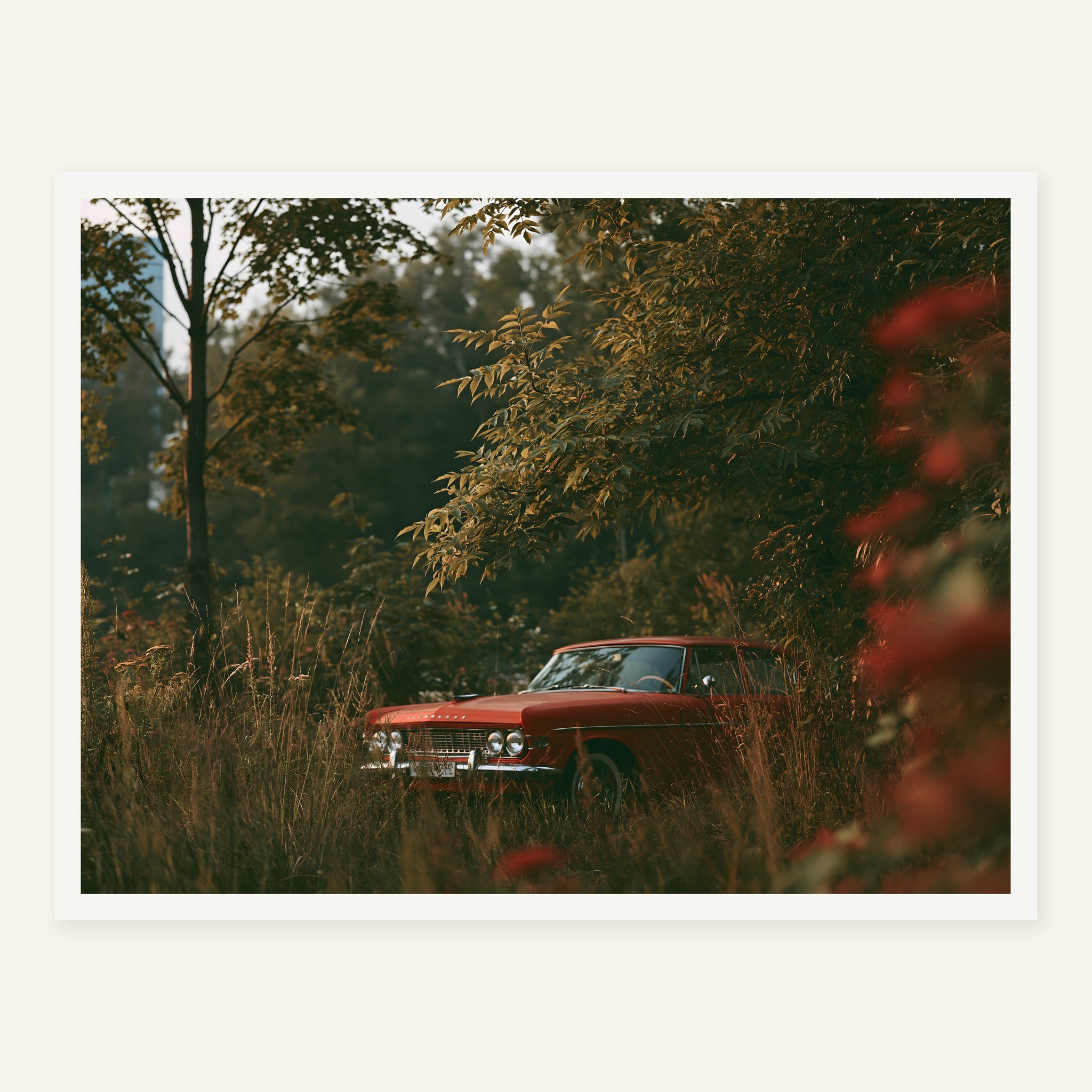 Rust in the Grass — White frame